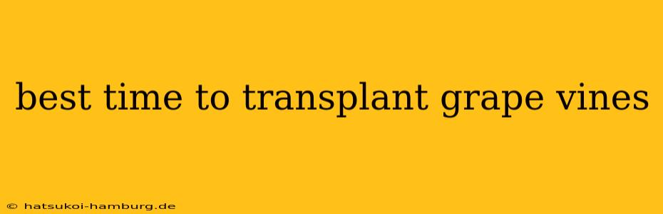 best time to transplant grape vines