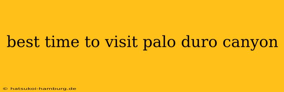 best time to visit palo duro canyon