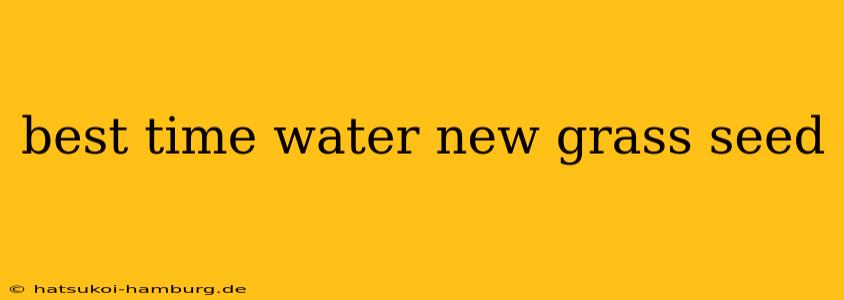 best time water new grass seed