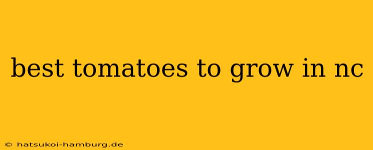 best tomatoes to grow in nc