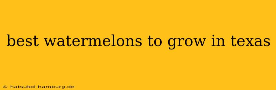 best watermelons to grow in texas