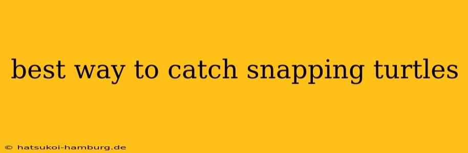 best way to catch snapping turtles