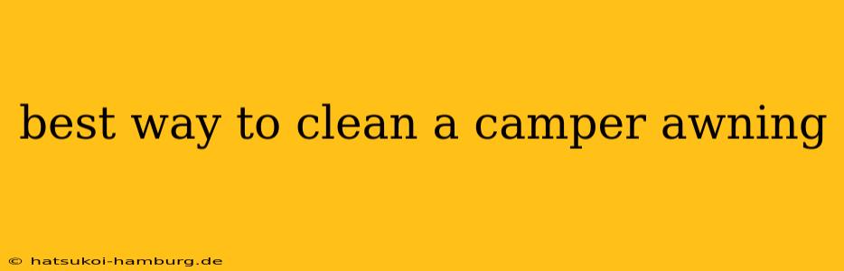 best way to clean a camper awning