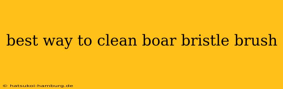 best way to clean boar bristle brush