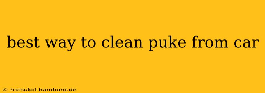 best way to clean puke from car