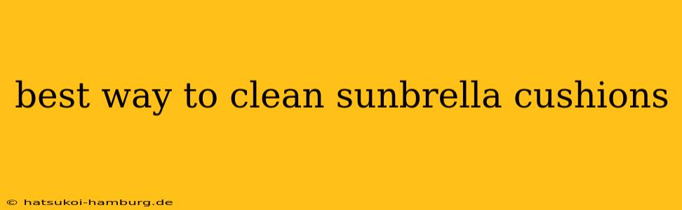 best way to clean sunbrella cushions