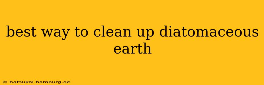 best way to clean up diatomaceous earth