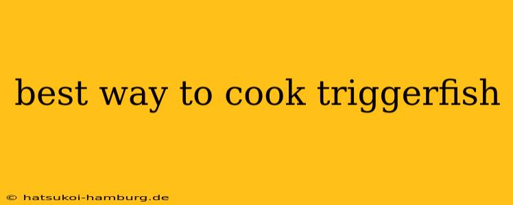 best way to cook triggerfish