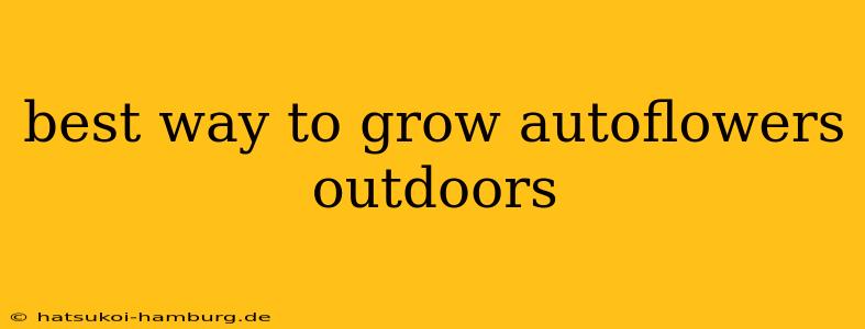 best way to grow autoflowers outdoors