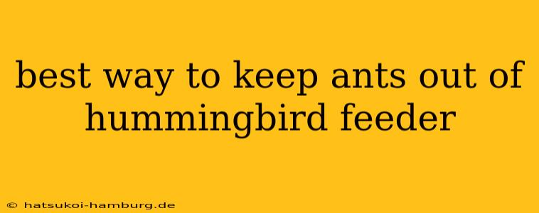 best way to keep ants out of hummingbird feeder