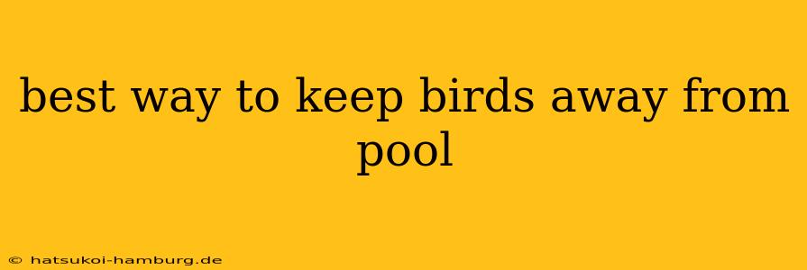 best way to keep birds away from pool