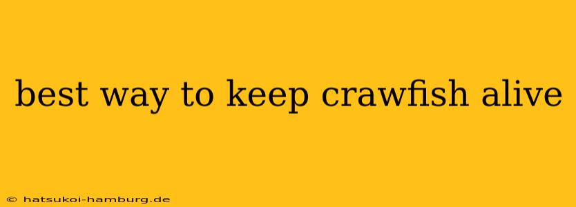 best way to keep crawfish alive