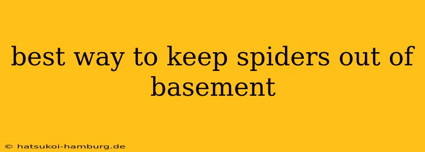 best way to keep spiders out of basement