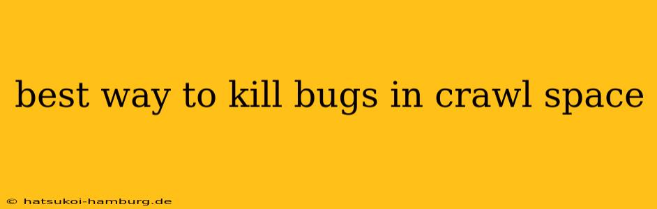 best way to kill bugs in crawl space