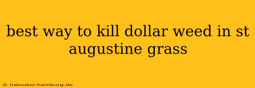 best way to kill dollar weed in st augustine grass