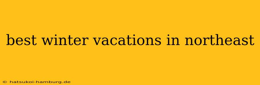 best winter vacations in northeast