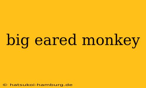 big eared monkey