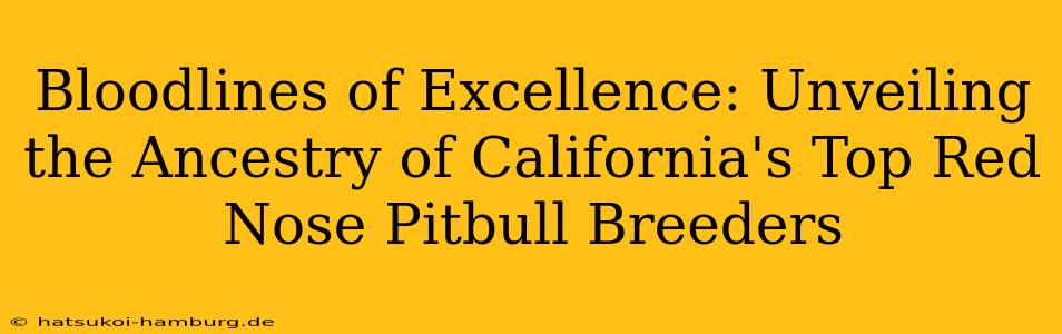 Bloodlines of Excellence: Unveiling the Ancestry of California's Top Red Nose Pitbull Breeders
