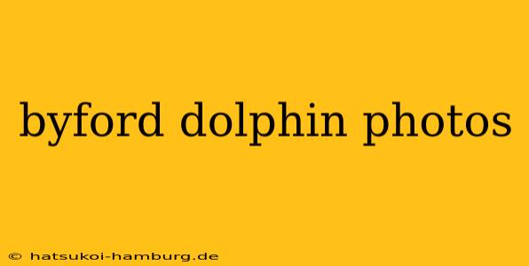 byford dolphin photos