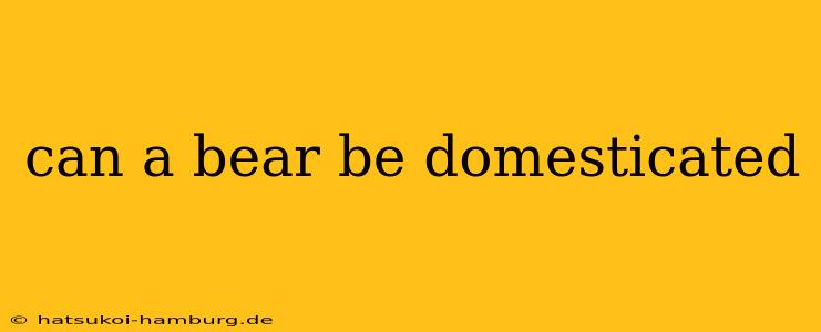 can a bear be domesticated