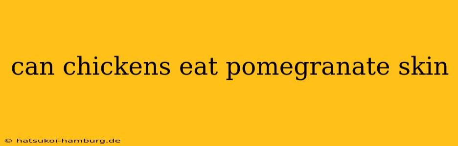 can chickens eat pomegranate skin