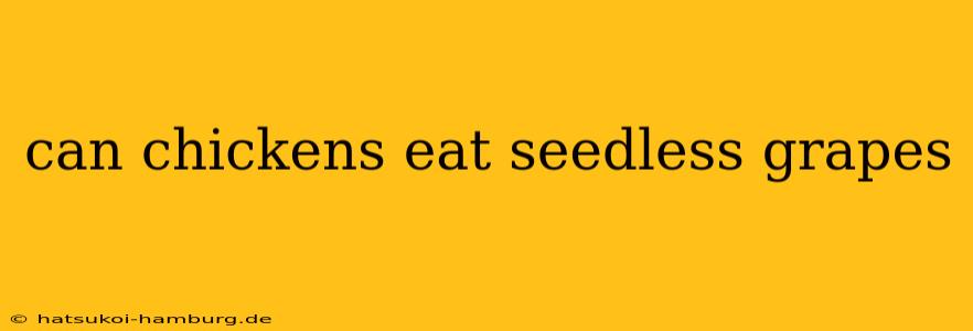 can chickens eat seedless grapes