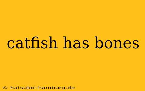 catfish has bones