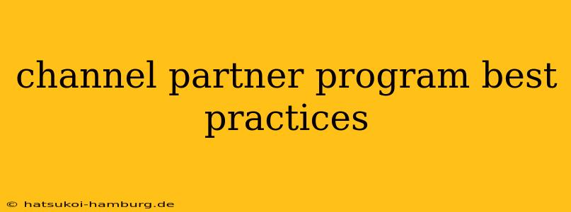 channel partner program best practices