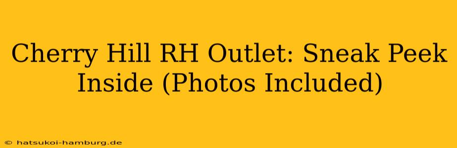 Cherry Hill RH Outlet: Sneak Peek Inside (Photos Included)