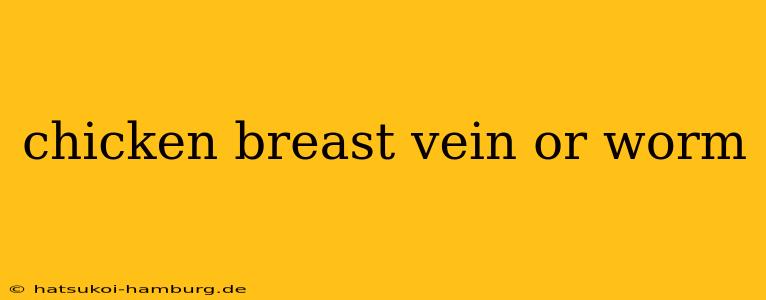 chicken breast vein or worm