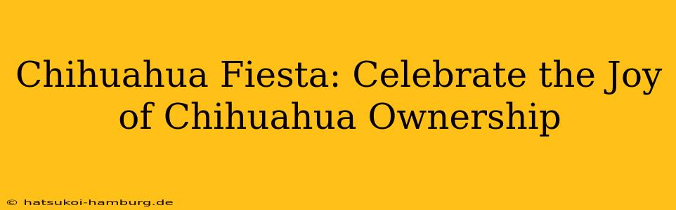 Chihuahua Fiesta: Celebrate the Joy of Chihuahua Ownership