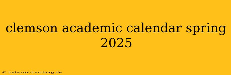 clemson academic calendar spring 2025