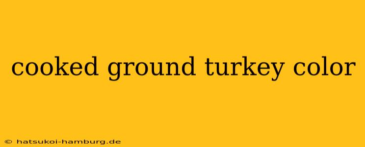cooked ground turkey color