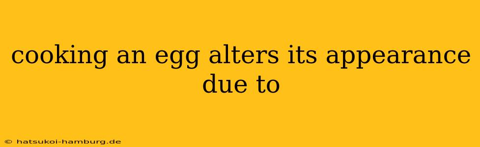 cooking an egg alters its appearance due to