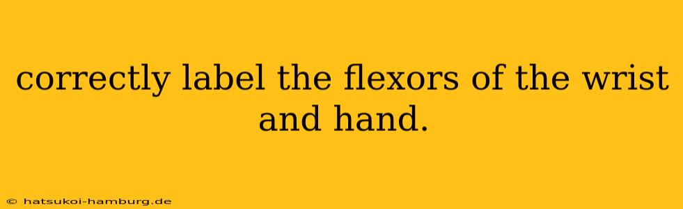 correctly label the flexors of the wrist and hand.