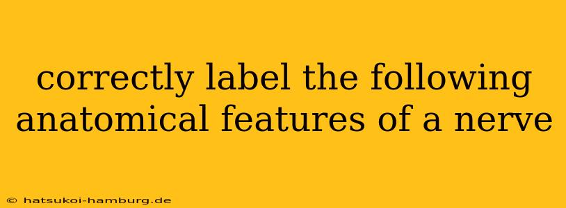 correctly label the following anatomical features of a nerve