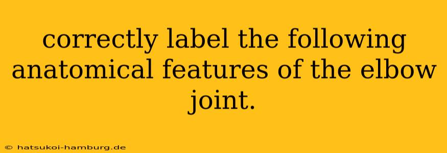 correctly label the following anatomical features of the elbow joint.