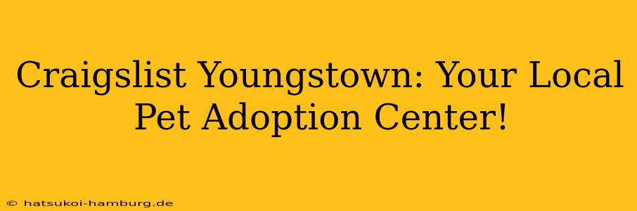 Craigslist Youngstown: Your Local Pet Adoption Center!