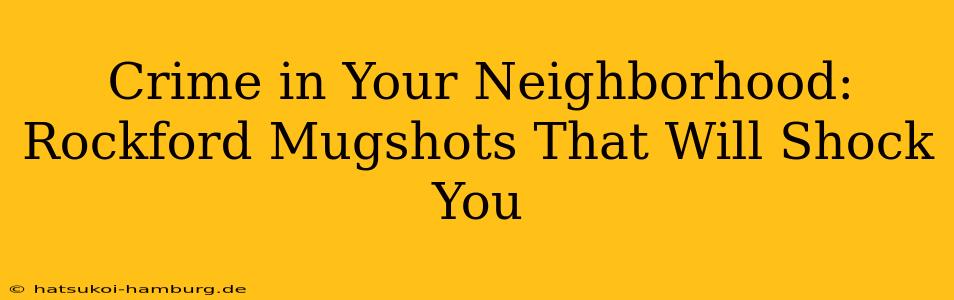 Crime in Your Neighborhood: Rockford Mugshots That Will Shock You