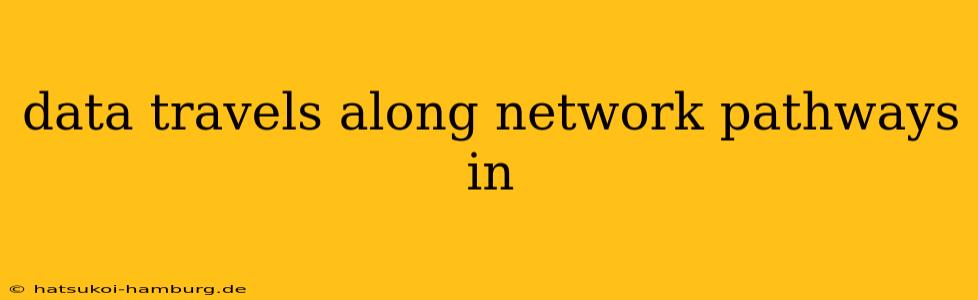 data travels along network pathways in