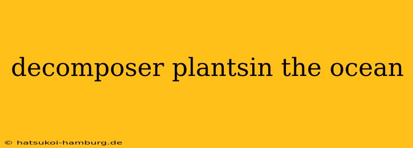 decomposer plantsin the ocean