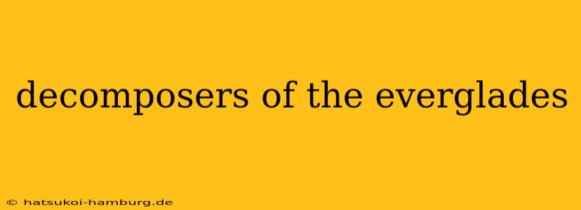 decomposers of the everglades