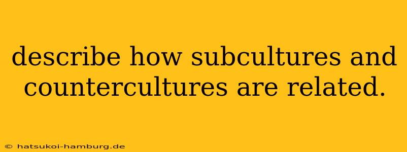 describe how subcultures and countercultures are related.