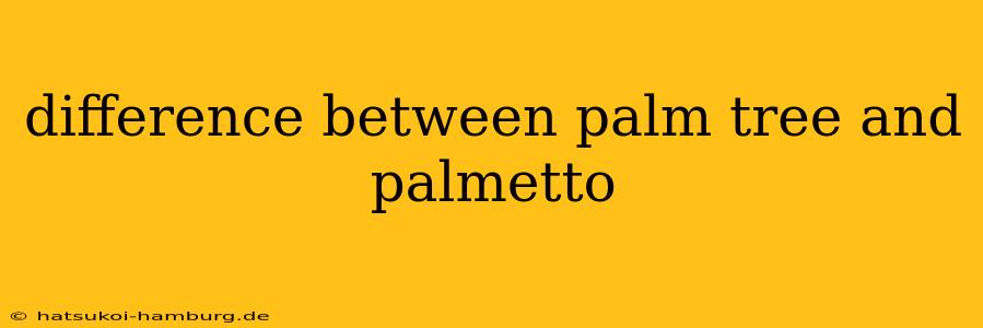 difference between palm tree and palmetto