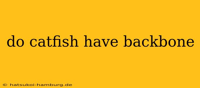 do catfish have backbone