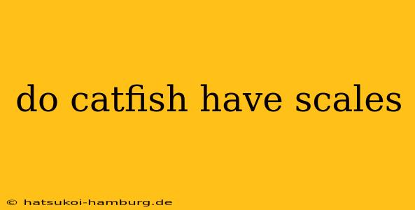 do catfish have scales