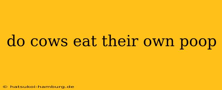 do cows eat their own poop