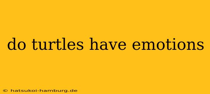 do turtles have emotions