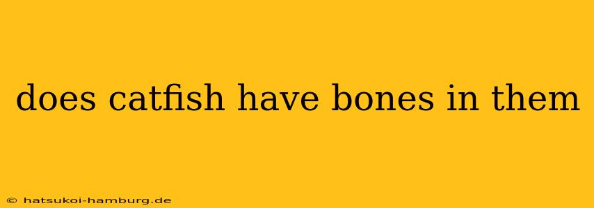 does catfish have bones in them