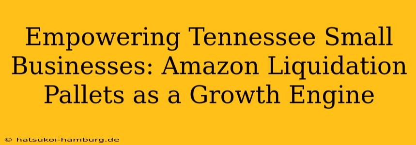 Empowering Tennessee Small Businesses: Amazon Liquidation Pallets as a Growth Engine
